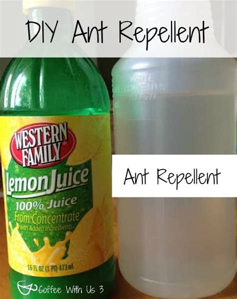 I had the windex in my hand, and to stop. DIY Ant Spray & Ant Repellent | Need to get rids of ants ...