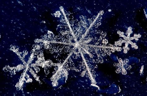 Winter Snow Crystals Stock Photo Image 16606950