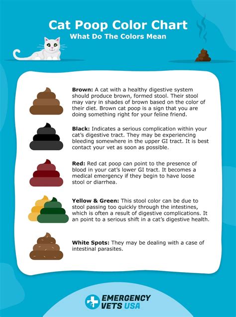 Cat Poop Color Chart Find Out What The Colors Mean 2022