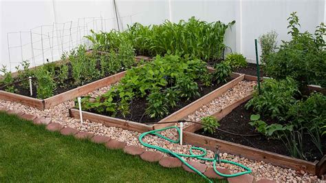 How To Start A Vegetable Garden Canadian Food Focus