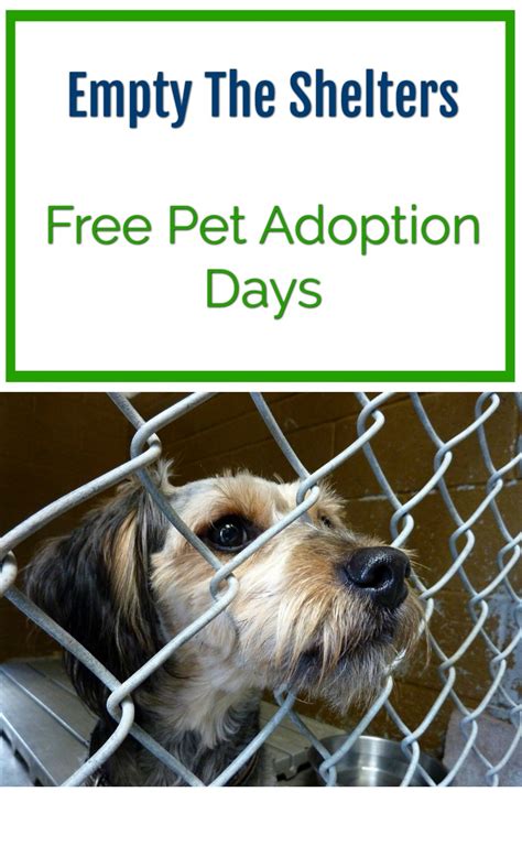 Foacar does business as (dba) empty the shelters free pet adoption