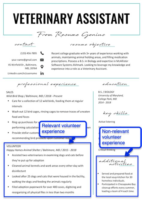 How To Put Volunteer Work On Your Resume Veterinary Assistant