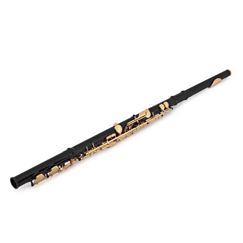 Elkhart 100fle Student Flute Black With Gold Lacquer Keywork Na