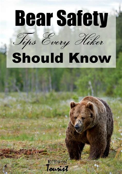 Bear Safety When Hiking Spring Is Here And That Means Its Time To
