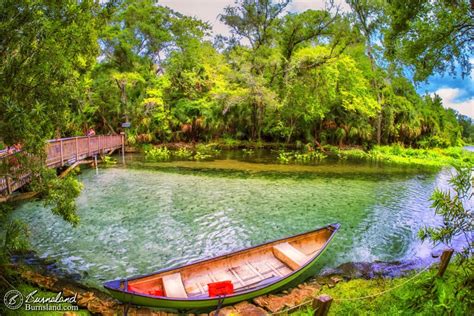 A Natural View From Wekiwa Springs In Florida Burnsland