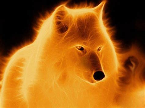 Others Fire Wolf Free High Quality Background Pictures Wolf