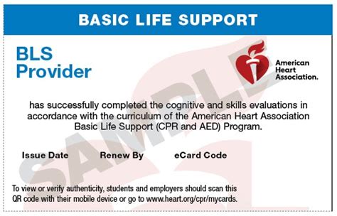 20 2800 Ive Basic Life Support Bls Provider Ecard