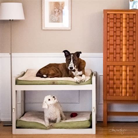Diy Dog Bunk Beds 8 Steps With Pictures