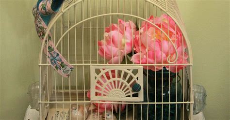 Vintage Birdcage Hometalk