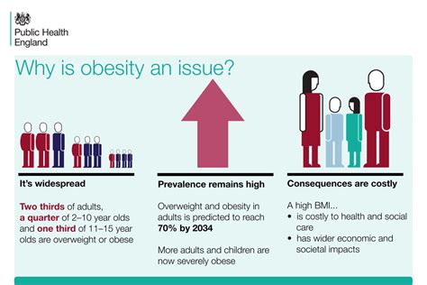 Adult Obesity Applying All Our Health Gov Uk