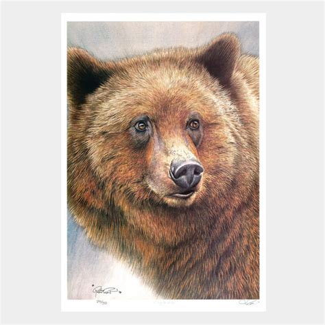 Grizzly Bear Canada Fine Art