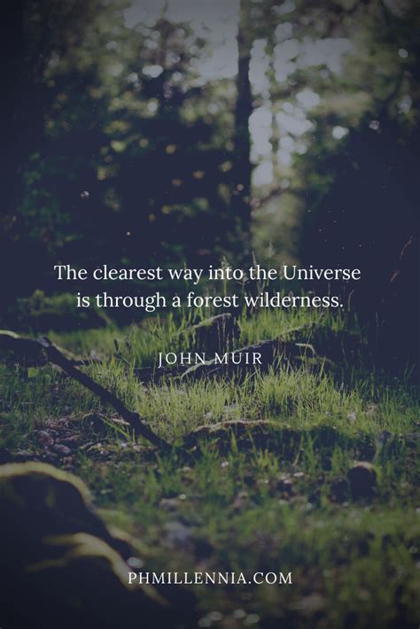 199 Wonderful And Inspiring Quotes On Woods And Forests Phmillennia