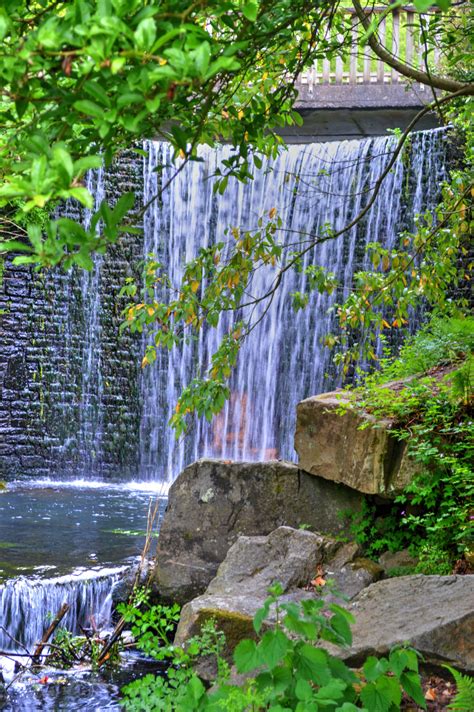 Free Images Landscape Tree Nature Forest Rock Waterfall Leaf