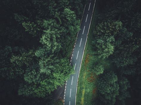 Trees Aerial View Forest Road Wallpapers Hd Desktop And Mobile