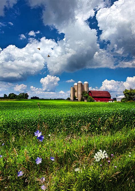 Mid Day Photograph By Phil Koch Fine Art America