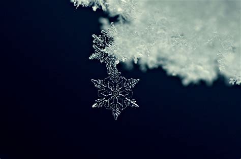 The Science Of Snowflake Formation Shape And Design