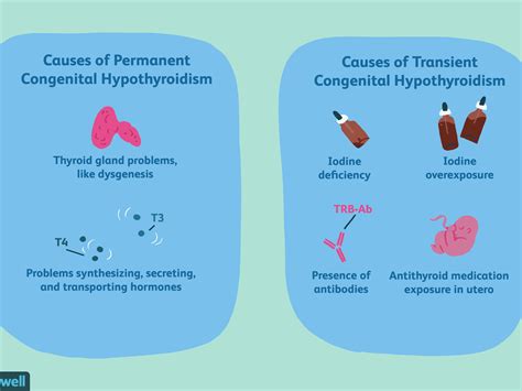 Hypothyroidism And Weight Gain Pathophysiology Bios Pics
