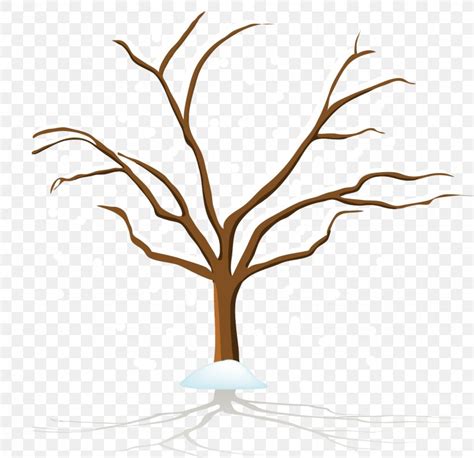Tree Winter Snow Png 1430x1384px Tree Animation Autumn Branch