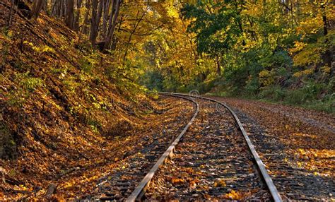 Railway Tracks With Fall Foliage Photo About Locomotive Foliage