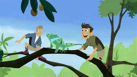 Basilisk Lizard Wild Kratts Pbs Learningmedia