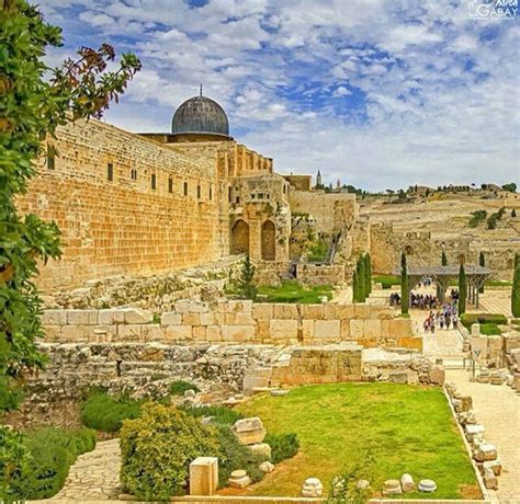 Natural Beauty Of Palestine Jerusalem Jerusalem Israel Holy Land