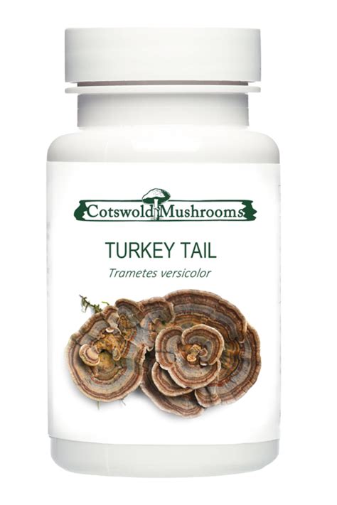 turkey tail mushroom capsules cotswold mushrooms ltd