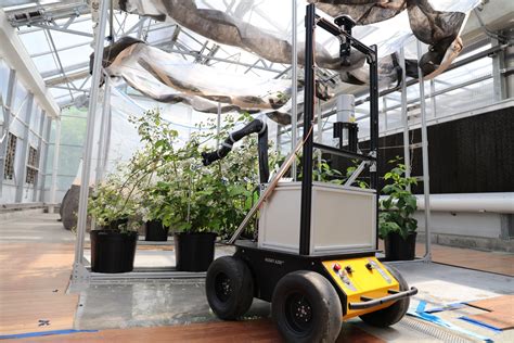 Bramblebee An Autonomous Robot To Pollinate Bramble Plants
