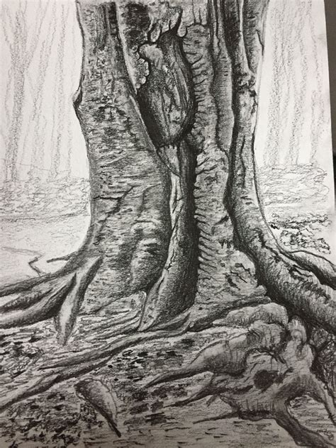 Pin By Drew Mackellar On Trees Drawing Tutorial Trees Drawing