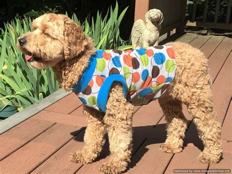 Buy Custom Dog Clothes And Pet Garments In America Sassy Dog Fashions