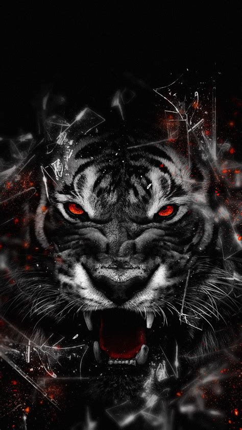 Angry Tiger Backgrounds