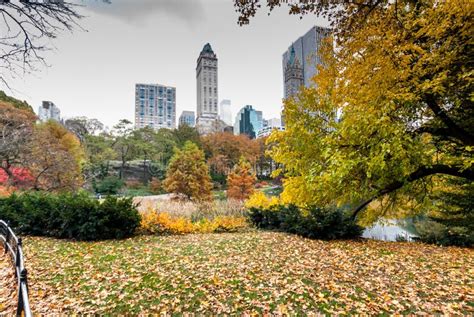 Central Park In November Stock Photo Image Of Fall 103144482