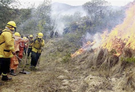 Incendio en radio comarca andina. Las quemas y el verano han dejado sin comida a los ...