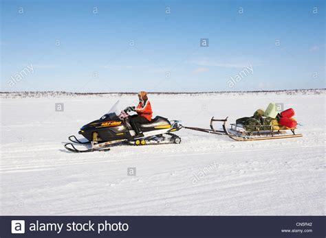 Norway Lapland Finnmark County Karasjok The Great Annual Reinder