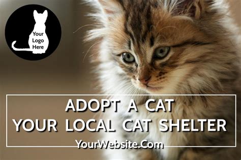 Copy Of Adopt A Cat Shelter Postermywall