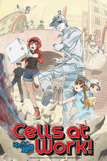 Cells At Work Manga Tv Tropes