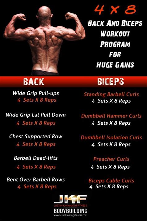 If Your Looking For A Back And Biceps Workout Program You Have Come To