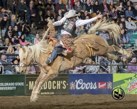 California Saddle Bronc Rider Moves To Top At National Western Stock Show Rodeo News