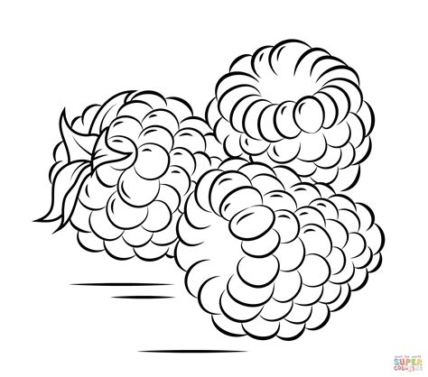 Raspberry Coloring Pages Coloring Home
