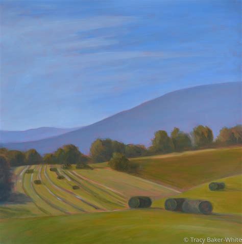 Painting Stratton Hayfields Original Art By Tracy Baker White