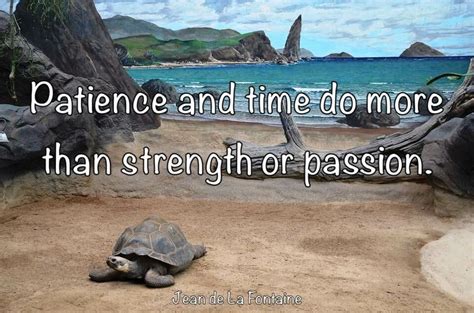 Patience Jean De La Fontaine Quote Patience Better Than Strength Or