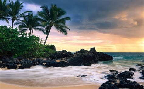 Hawaiian Beach Wallpaper 58 Pictures