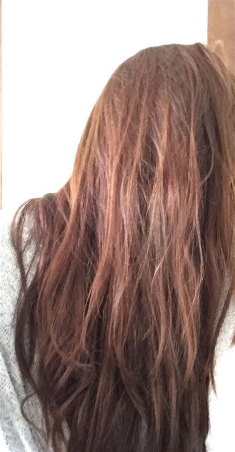 Garnier nutrisse rose gold haircolour | Hair color rose ...