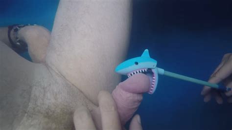 Shark Bites Dick Shark Tube Hd Porn Video E Xhamster Xhamster