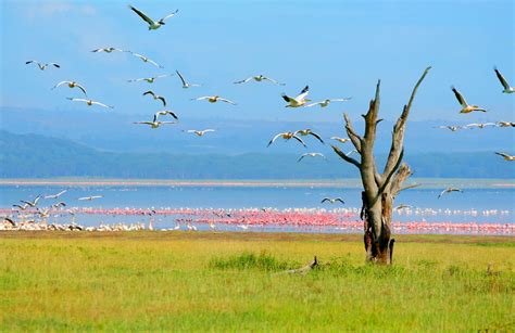 Lake Nakuru Safari Rim