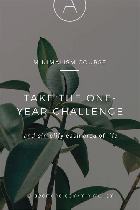Take The One Year Minimalism Challenge Simplify Your Life With This