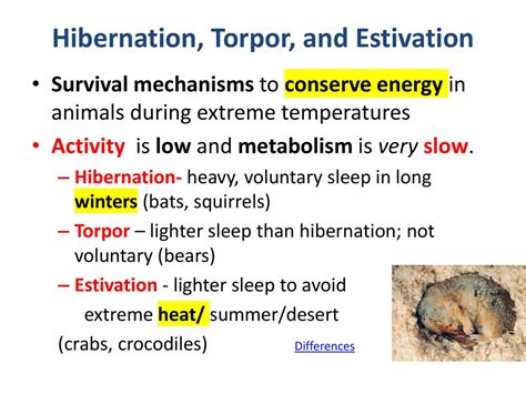 Explain how the structure of the items relate to their functions. - ppt