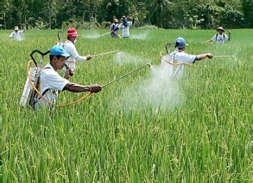 10 pengelolaan lahan pada berbagai ekosistem mendukung pertanian ramah. IPA TEKNOLOGI DAN KELANGSUNGAN HIDUP MANUSIA