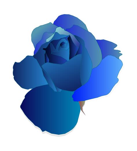 Blue Rose Flower Blue Rose With Stem Png Transparent Clip Art Image Png