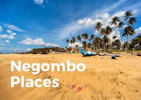 13 Things To Do In Negombo Discover The Beach Town Splendour