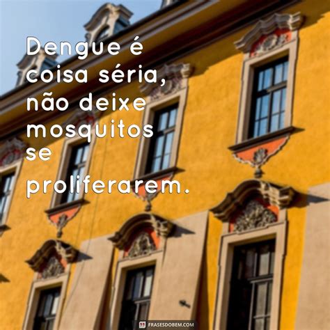 Frase De Combate A Dengue